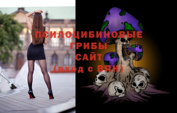 стаф Алексеевка